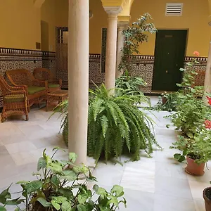 Centro Historico Solo Office , Sevilla Spanje